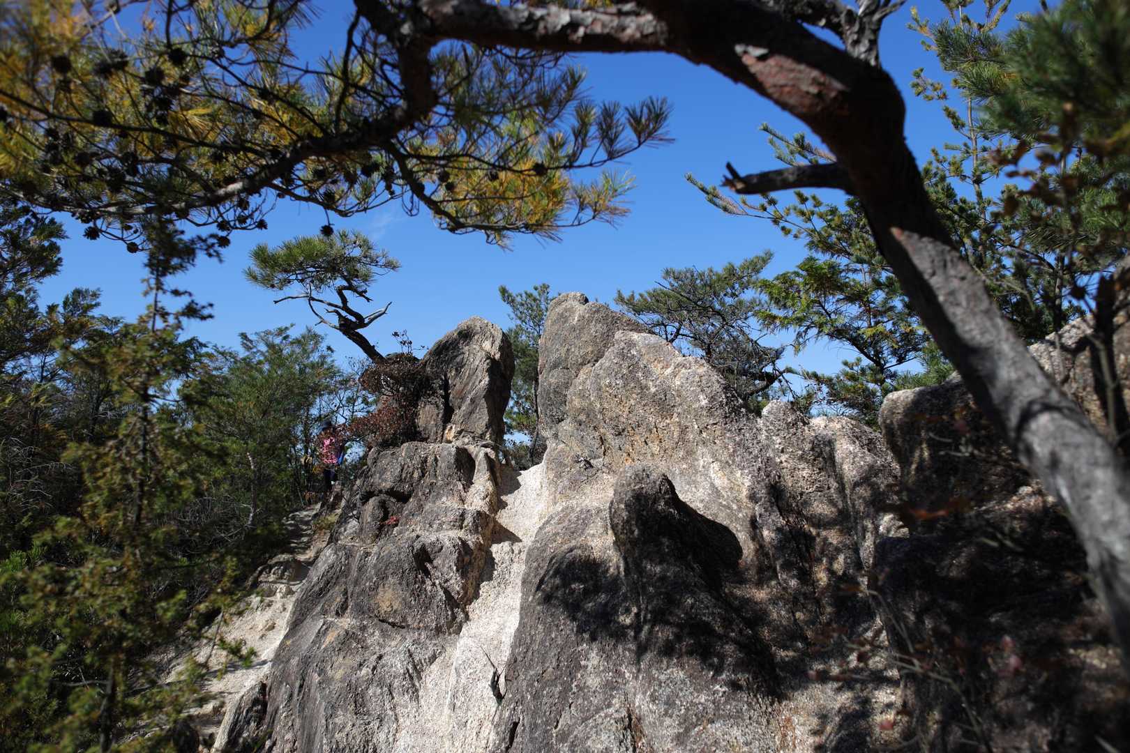 何とか通れた