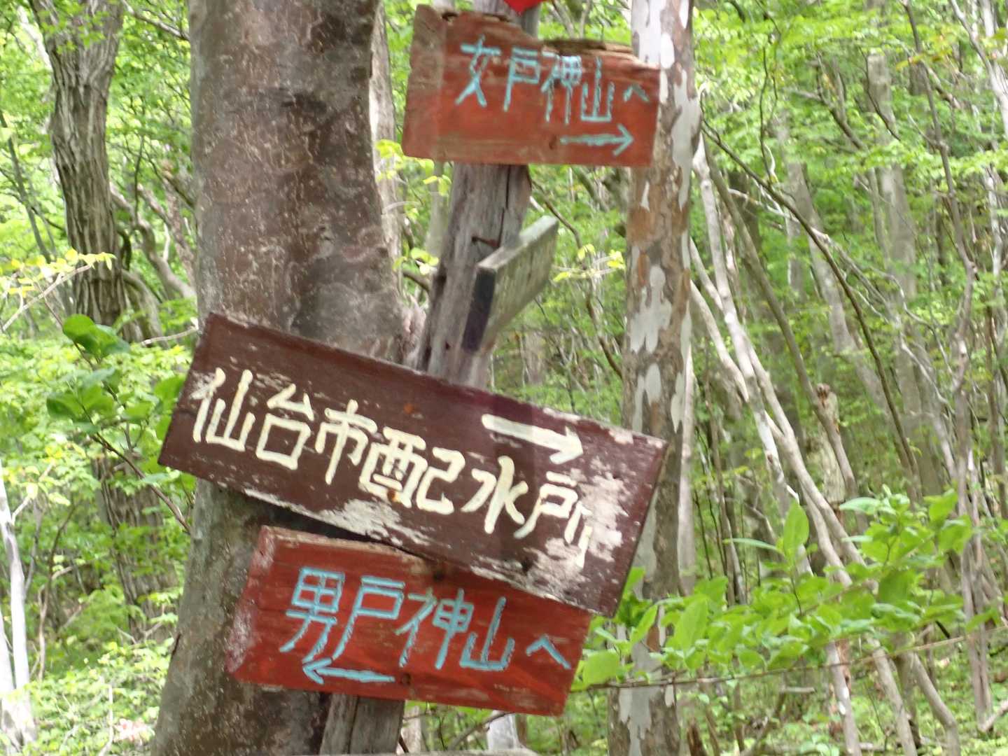 先に男戸神山に行こう