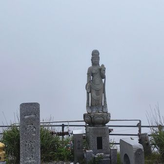 美しいお姿🙏🏻