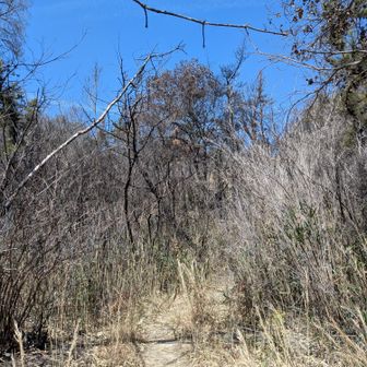 焼けて　取り付きがわからず…
ここっぽい