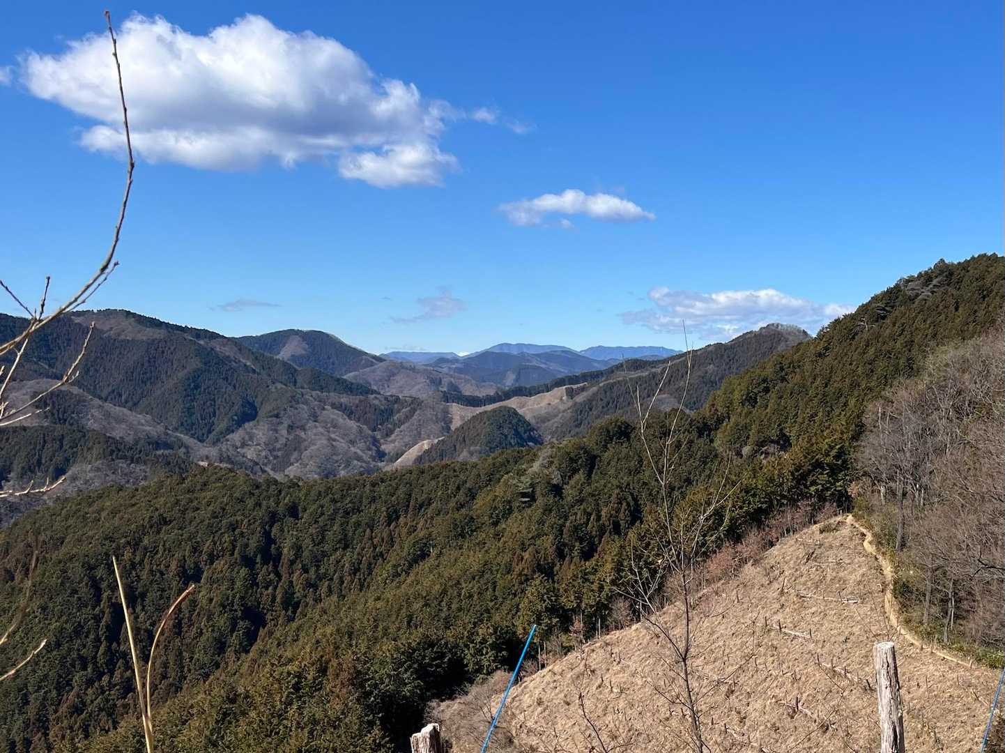 有美山から眺めた青空と、伐採された山肌ぎわのこれから歩く道