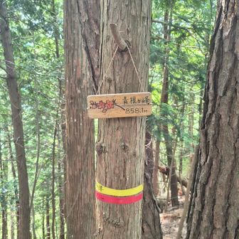 標高858m。
関西百名山としてはこじんまりとした山頂標識。
特に眺望も無し。。
