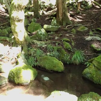 衣ヶ池まで下りて来た。掃除をされている人はまだおられて、また少し話をした。綺麗になった池周辺