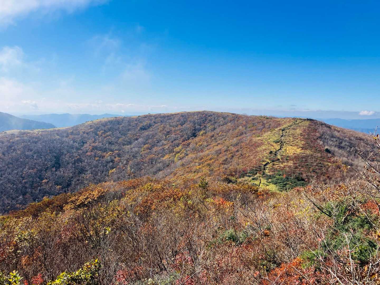 岩場から