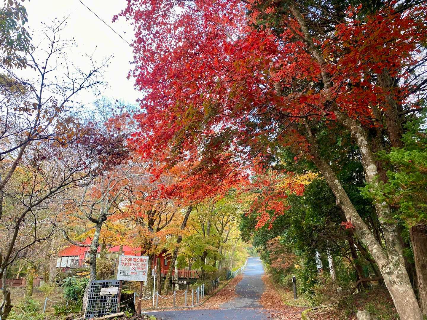 登山口へと向かう別荘地内の道。