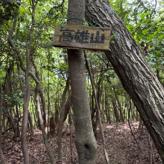 高雄山