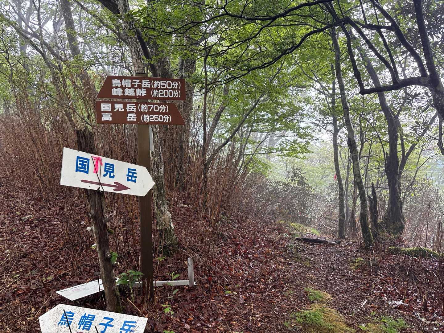 峰越登山口-椎葉越-烏帽子岳-五勇山-小国見岳-国見岳 周回コースの写真