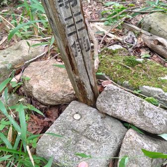 石楠花山・・・。何も標識が無い。