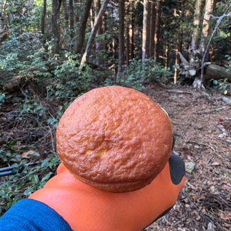 腰を下ろして休憩
変わったクリームパンやなぁと思ったあなた
生地の感じが全然違いますよね
生ドーナツカスタードホイップなんですけど😤笑

生ドーナツってふわふわの生地をイメージも一口食べて🤨固めの食感？？
何が生やねんって思ってパッケージ見たら
生クリームを練り込んだドーナツ生地とか🤔
生ドーナツってドーナツやったら確かにちょっとやわらかやけど、パンやったら全然やわらかく無いし...紛らわしい名前やめて欲しいな
騙されるの2度目です🤣