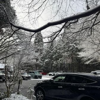 二度寝😴　&   TOYOTA🚗の出勤渋滞にも重なり、駐車場🅿️空いていないのでは…😰と　ドキドキしながら来てみたら、第1駐車場🅿️    まだ余裕アリ🐜

一段下の駐車場🅿️は　もっとガラガラでビックリ😳❗️

祝日㊗️でこの時間で珍しいっ😳

駐車場🅿️に着いた時に「あれ❓フォローしている方かな❓」と気付いたけど、いまいち自信がなく…🫣