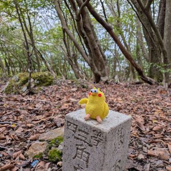 🔺四等三角点ありました(^^)♪