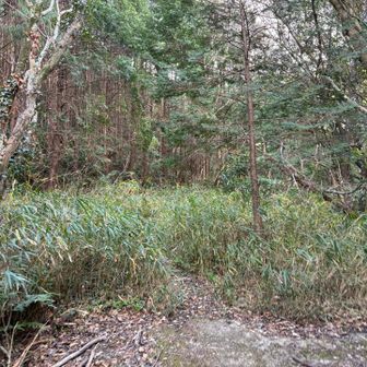 以前より良いが、登山口付近はもう少し刈っていただけると嬉しい🥺