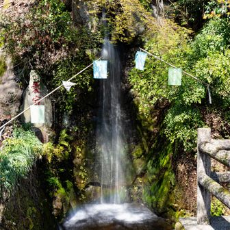 愛宕滝
江戸の人達は巨大な木太刀を担いで来て、この滝で身を清めて大山山頂に向かったんですねー。
下のほうに🌈が☆
江戸からそんなデカい物を持って歩いて来るバイタリティがスゴい👏
