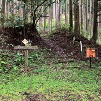 登山口

雨の音が遠くで聞こえます。
少しポツポツきました。
