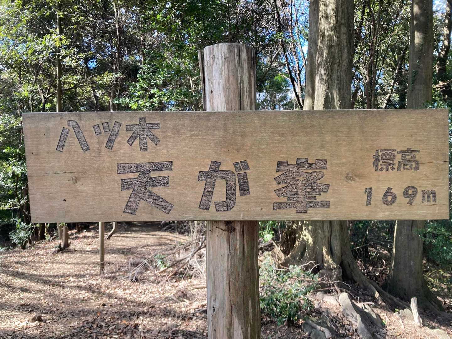 天が峰 往復コースの写真