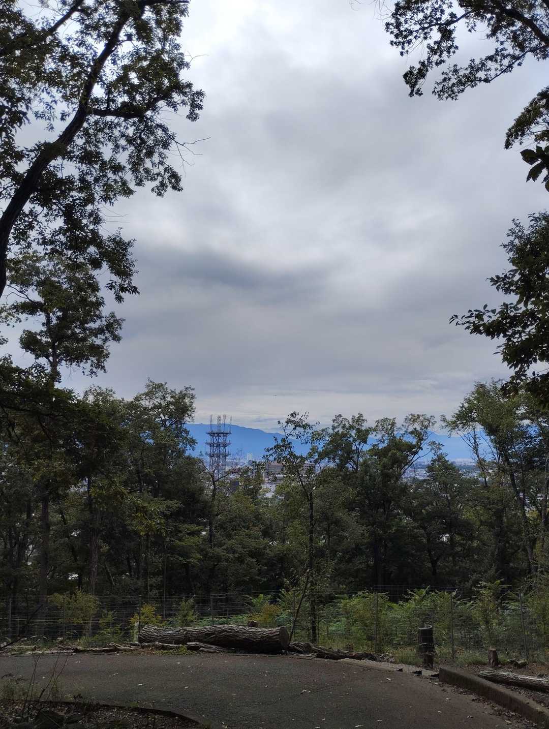 湯村山 往復コースの写真