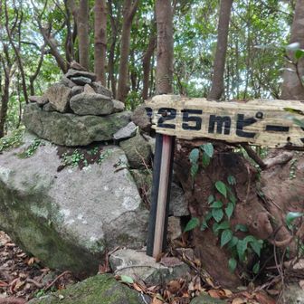 本日の初ピーク　P325⛰️