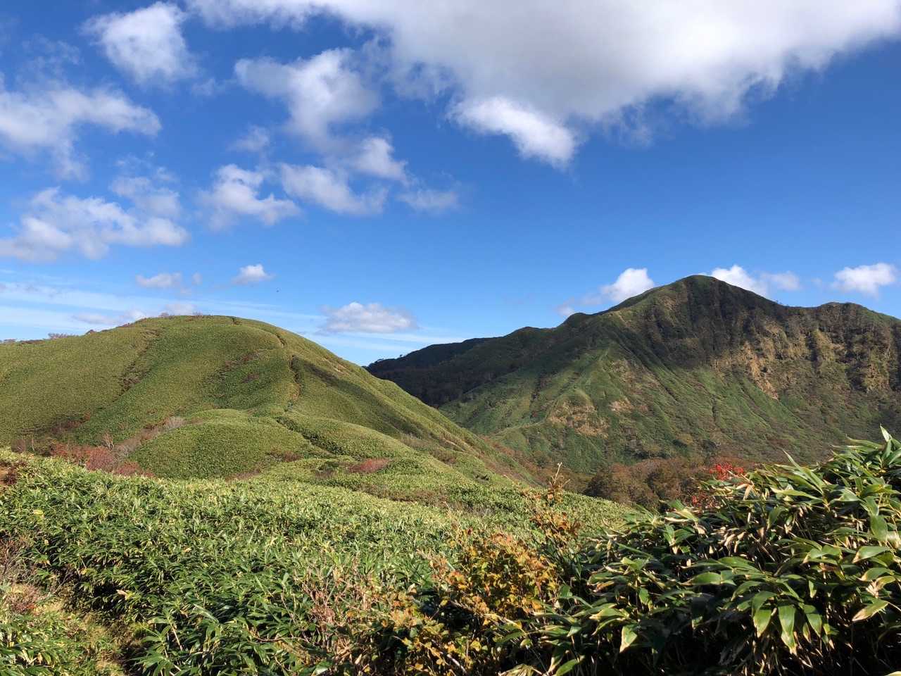 広域林道登山口-保月山-釈氏ヶ岳-中岳 往復コースの写真