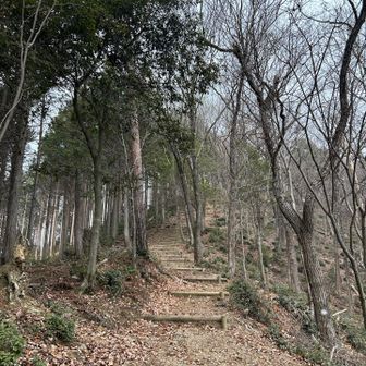天気急変！雪がチラチラ❄️
空が真っ白に変わる😳