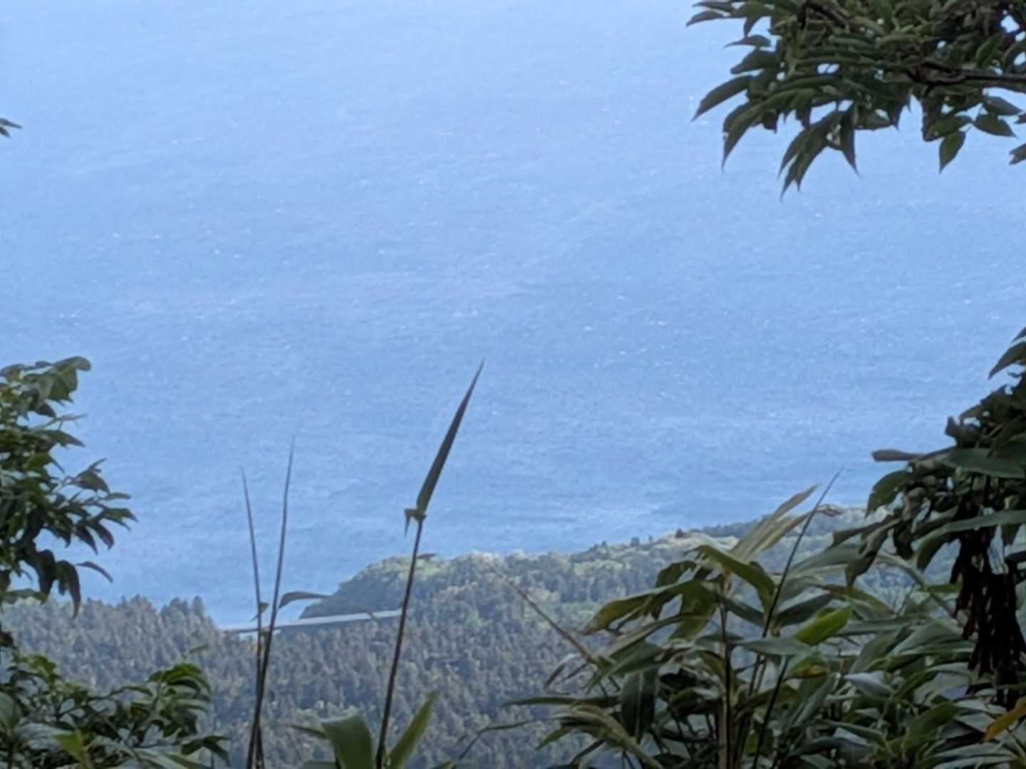 ４合目　野鳥の森からの眺望です