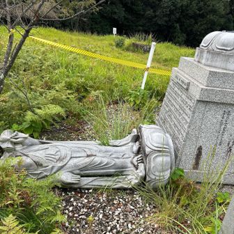 地震の影響で倒れてました。😭