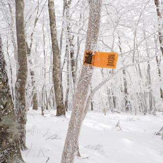 広くて迷いそうな箇所はこのオレンジマークが頼りになりました