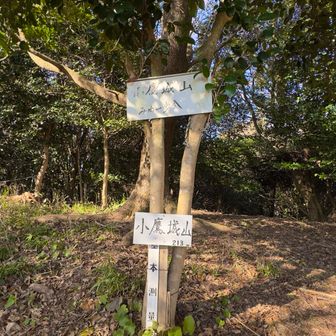 up downで登り上がると
　　　　小鷹城山頂　213m