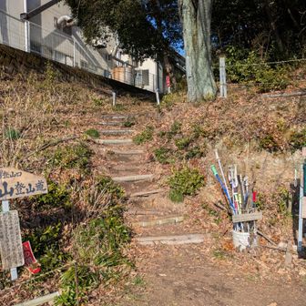 駐車場は10台くらい停めれる
協力金チャリン🪙
ポストの中のヤマガラちゃんの
ゴハンを貰いました😊