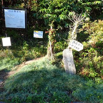 林道を横切ってここから恵那山へ
いつの間にか天気回復してる