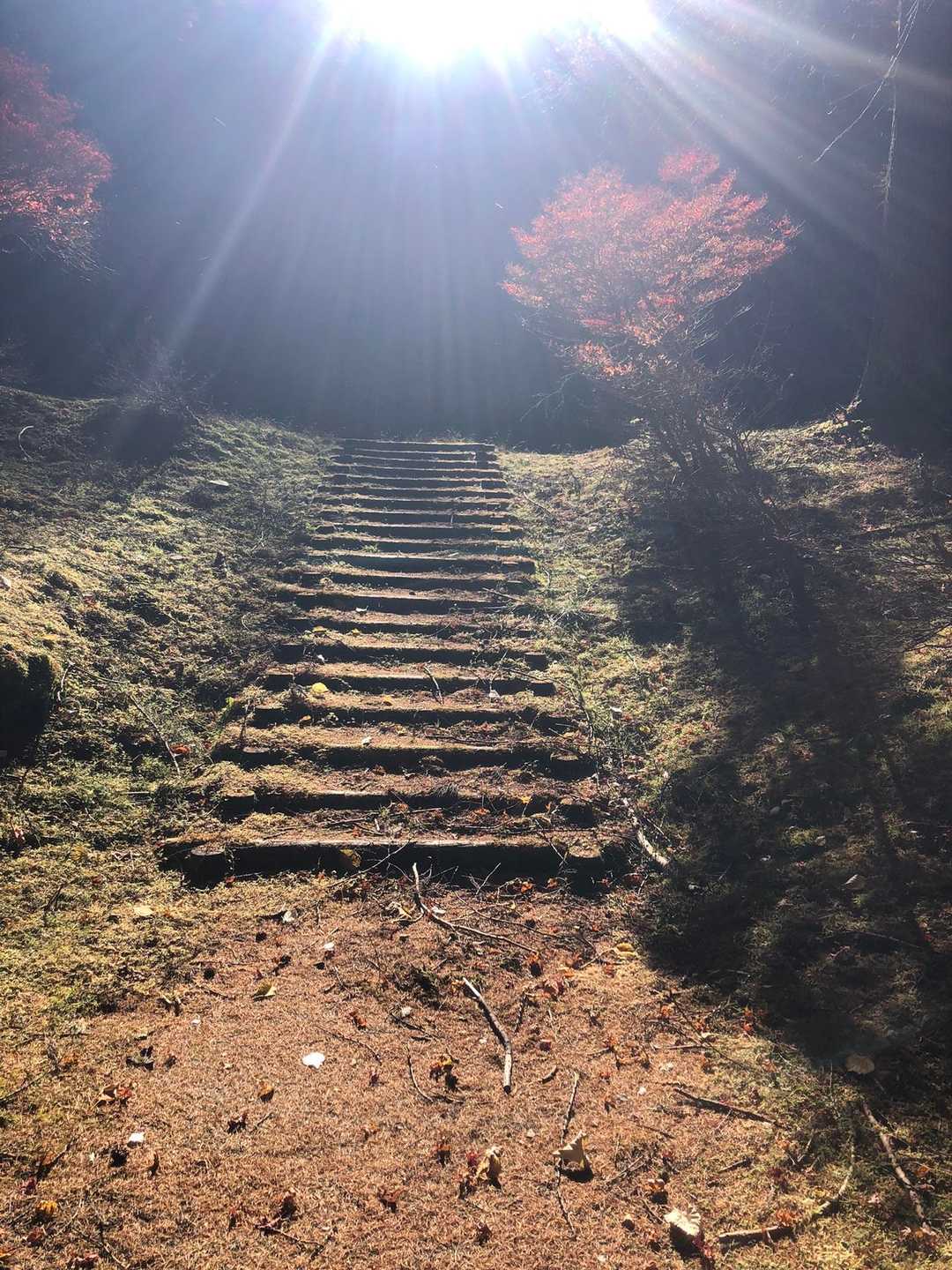 みんなで大切にしていきたいね☺️