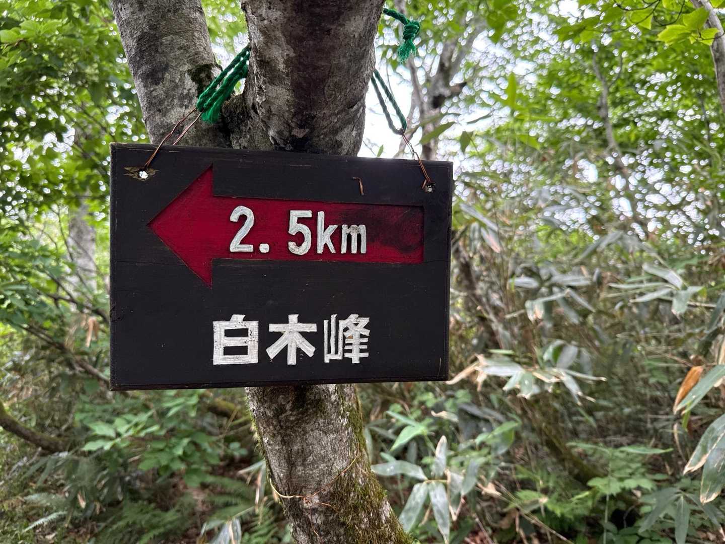 ⬅️後2.5km💪