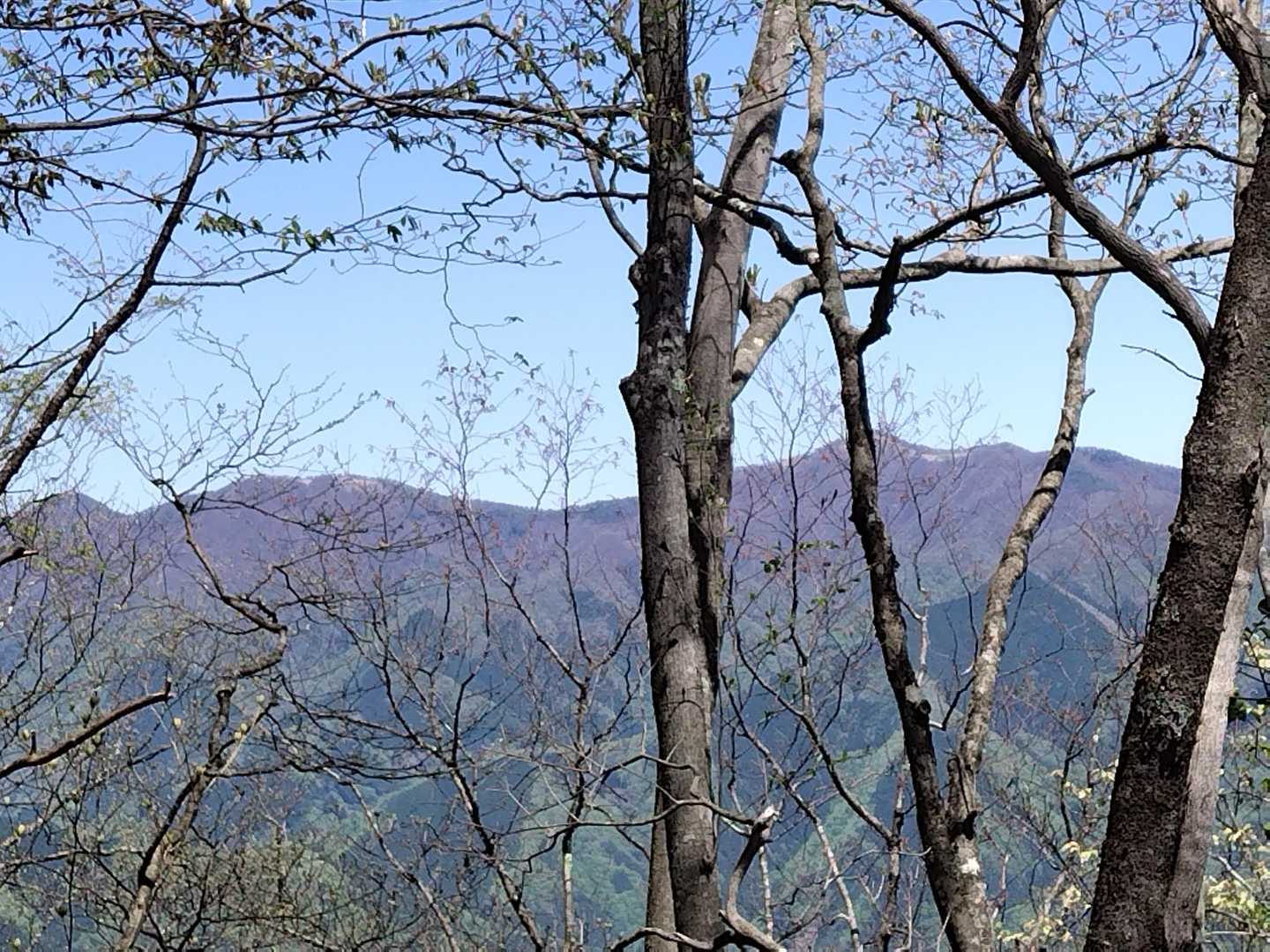 七ツ石山とか鷹ノ巣山方面が見えているのかな？