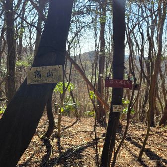 そのまま踏み跡をたどって、宿山へ。
「トレイル」ってたくさん書かれていたから、ここはなんちゃらトレイルの一部・・・なのか？
歩きやすい道でした。