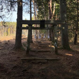 お邪魔します。
だいぶ景色が変わりましたね。