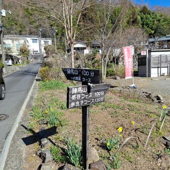 一ノ尾尾根から登って行きます