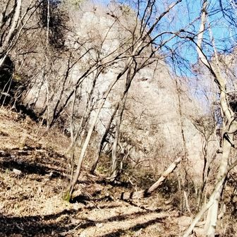 右手には岩壁　落ち葉ザクザクの急斜面を登っていくと…