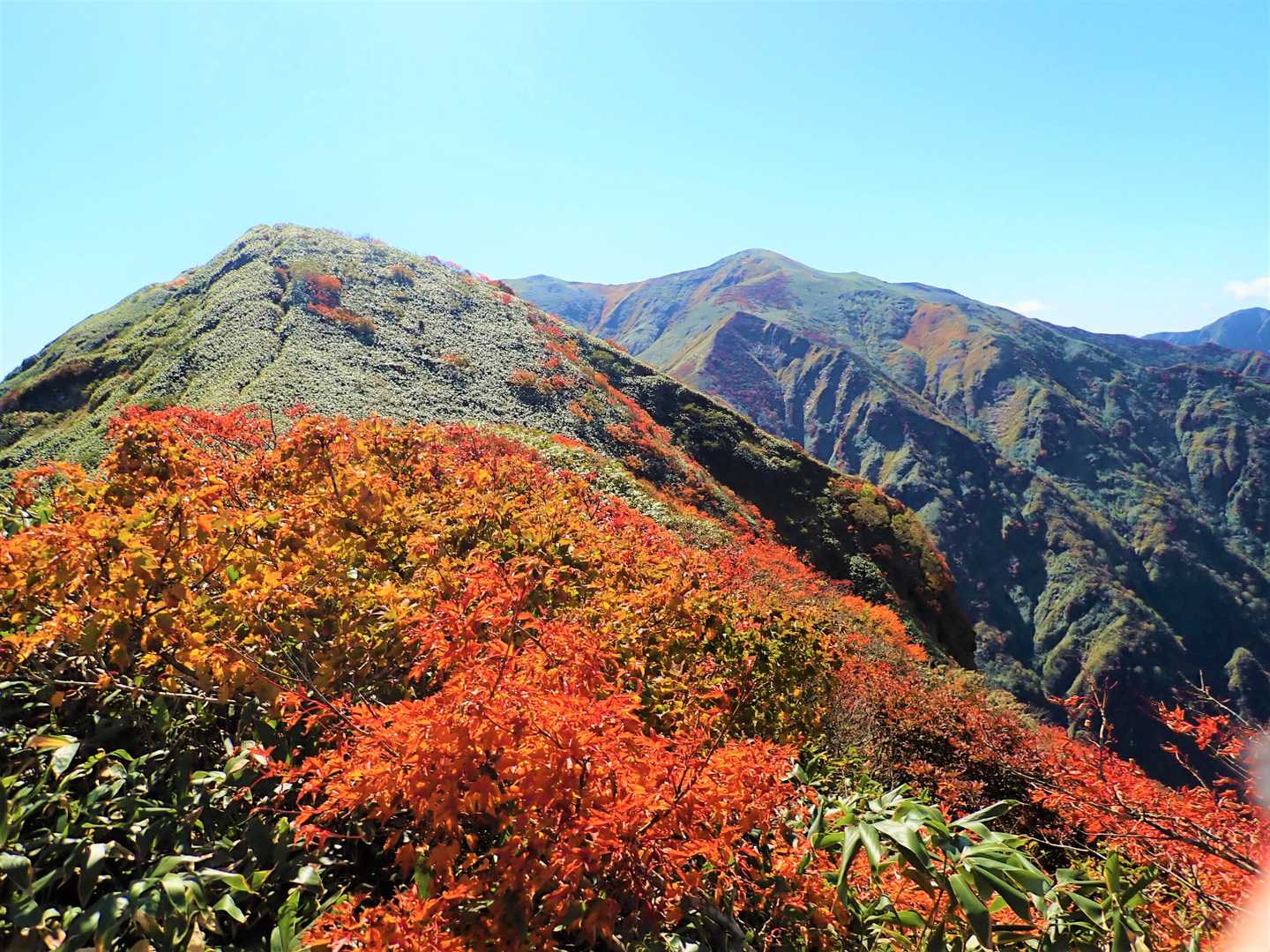 紅葉稜線より、武能岳～茂倉岳！