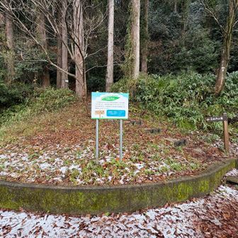 げざーん👍
倒れてた大きな看板撤去されてる😮
