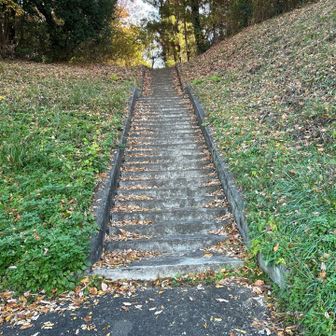 青梅街道から逸れてこちらが大将山登山口。