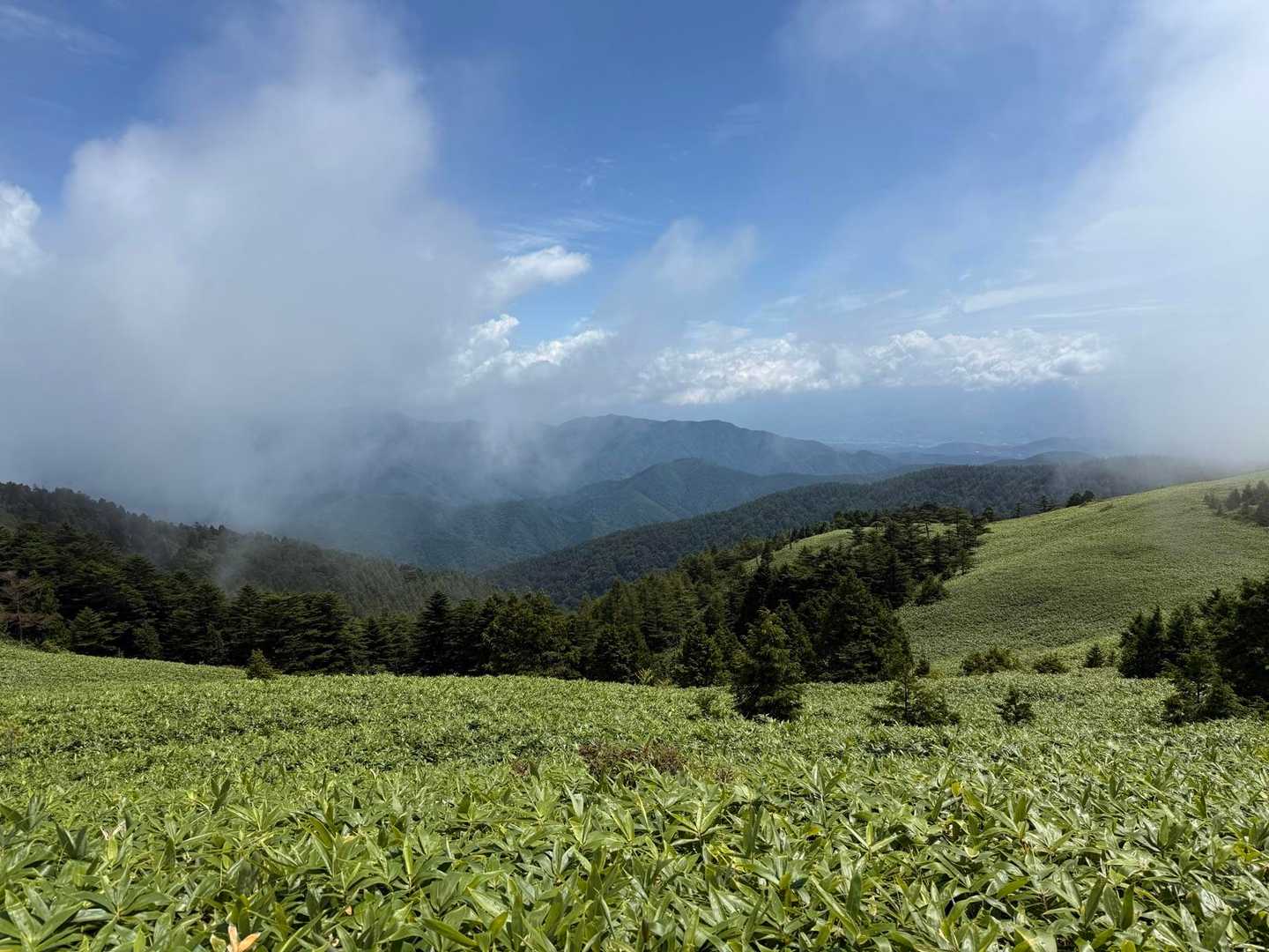 富士見台で百名山を眺めよう⁈の段 / JTOMさんの恵那山・大判山・神坂山の活動データ | YAMAP / ヤマップ
