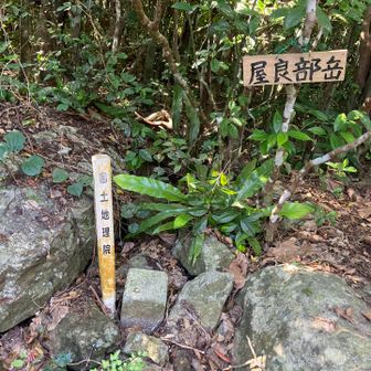 屋良部岳三角点