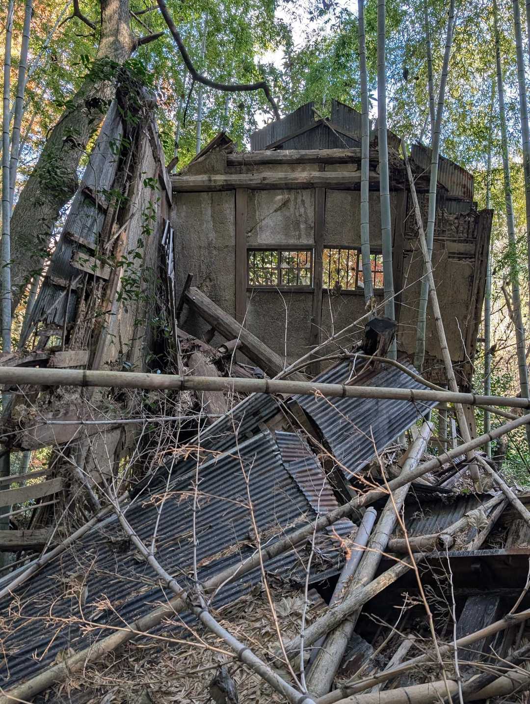 通り道に廃墟💦
壁しか無い