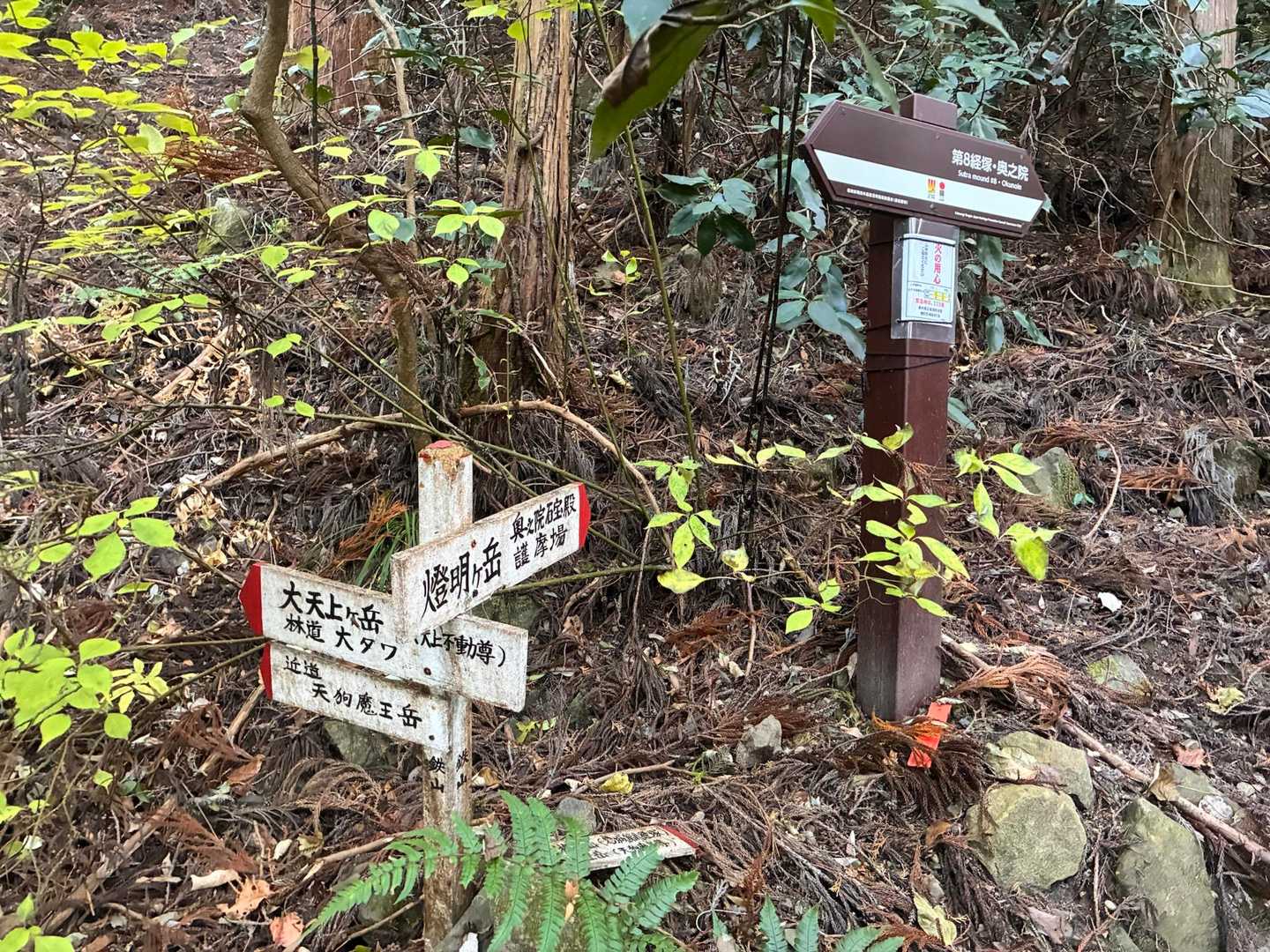 天狗魔王岳にも行きたかったけど、今日は第八経塚だ😭