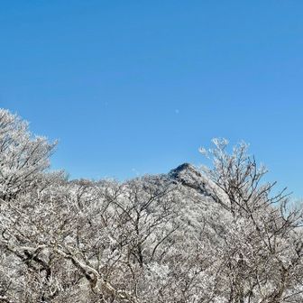 遊びながら障子岳に向かいます
美しい✨✨
