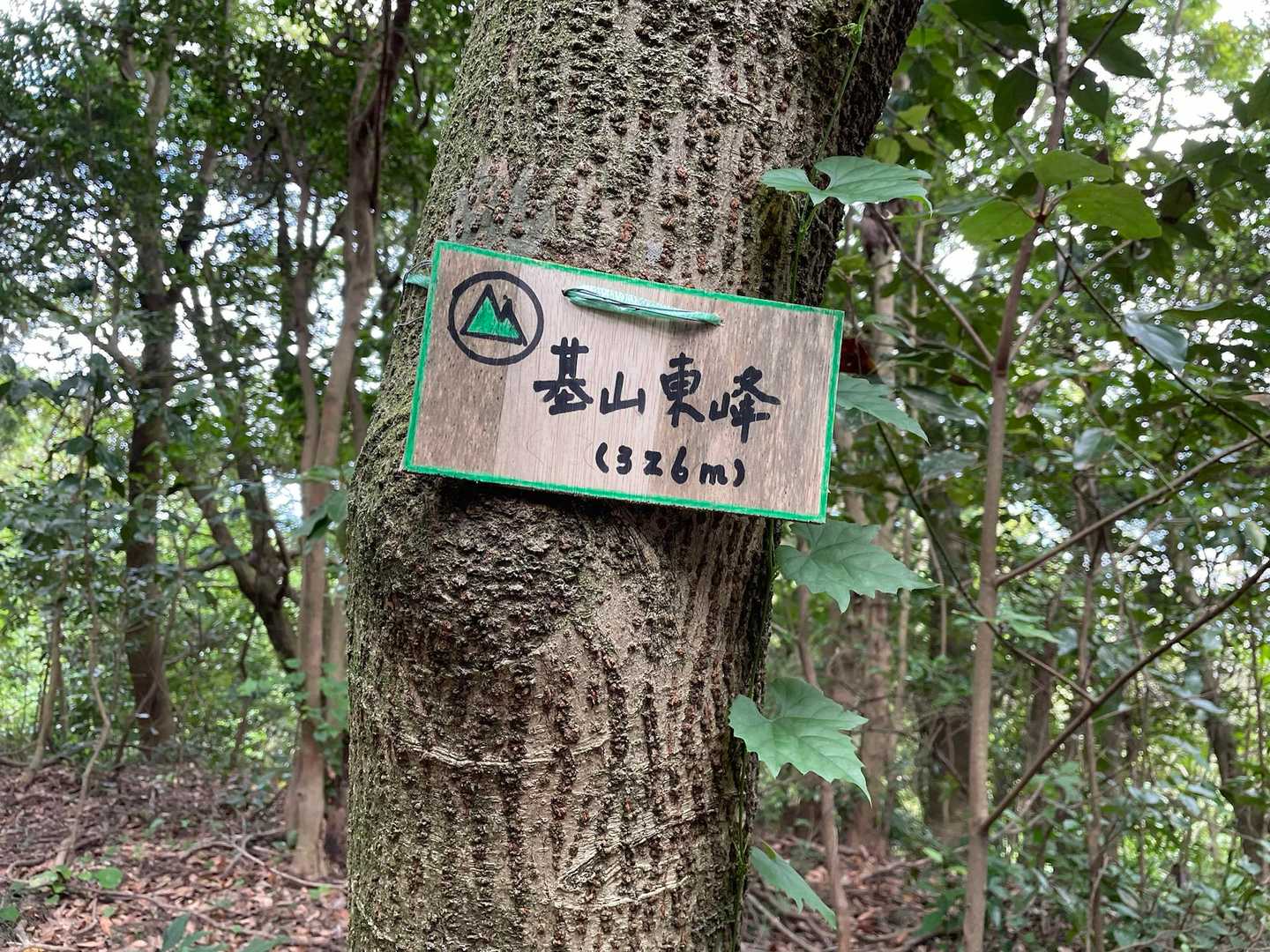 つつみ跡に基山東峰、はじめてきました