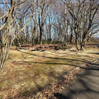 テーブルと椅子があり、食事も出来そう♫