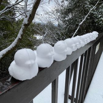 ユーザー　ふう