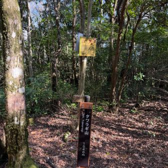 ２月にたてられたばかり