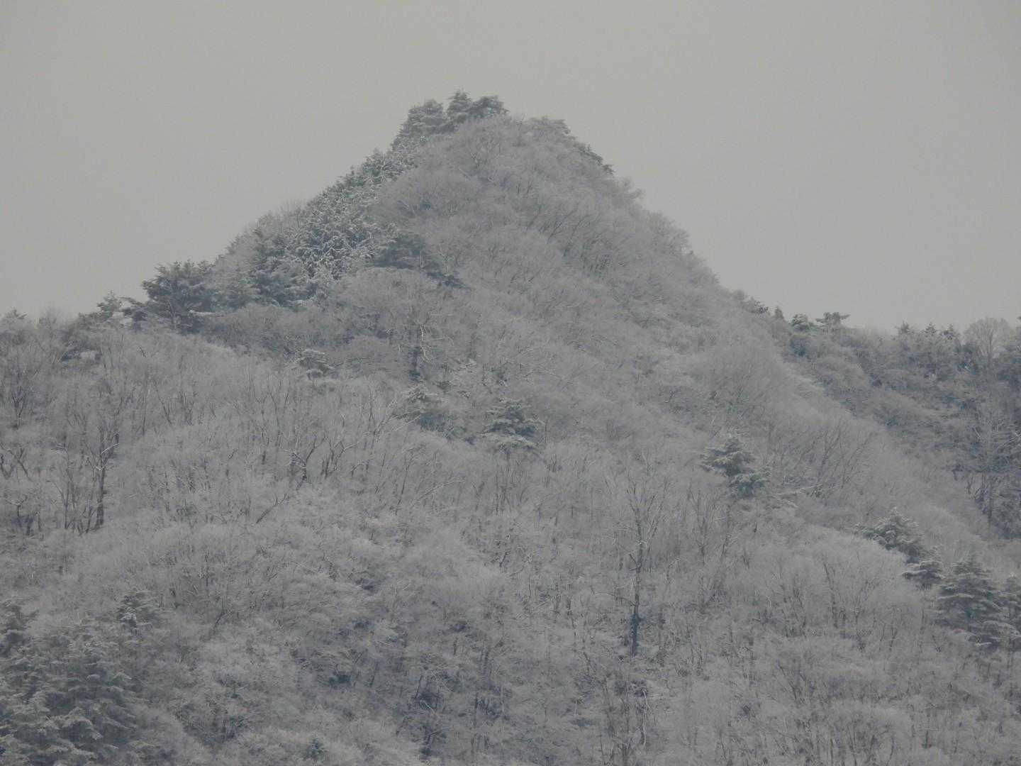 ズームしたら結構雪ついてる🤩