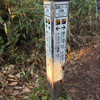 温泉からの分岐。4km登るか、あの酷道を走るかの2択になった場合、次回があれば4km登ります😅